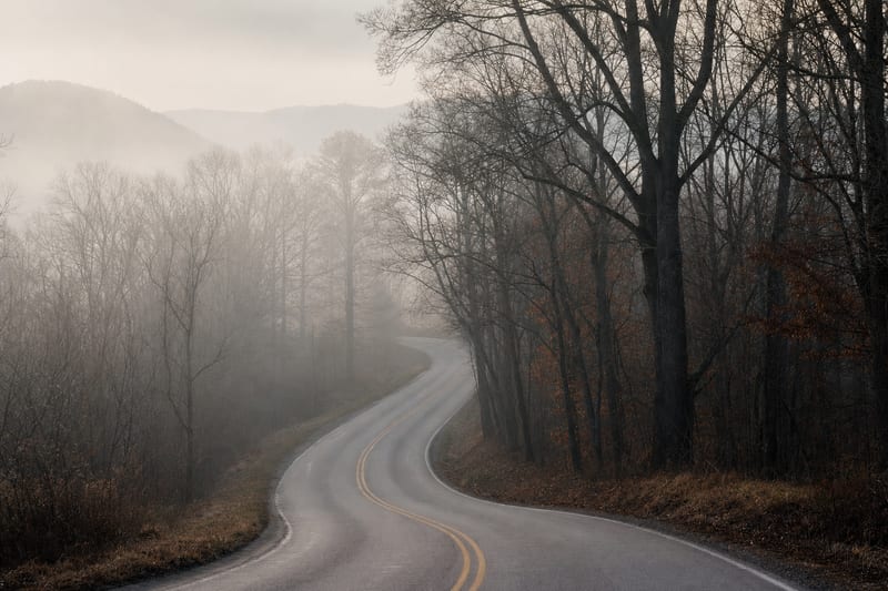 Editorial archive image illustrating Americana in 2026: What the New Year Holds for Roots Music.